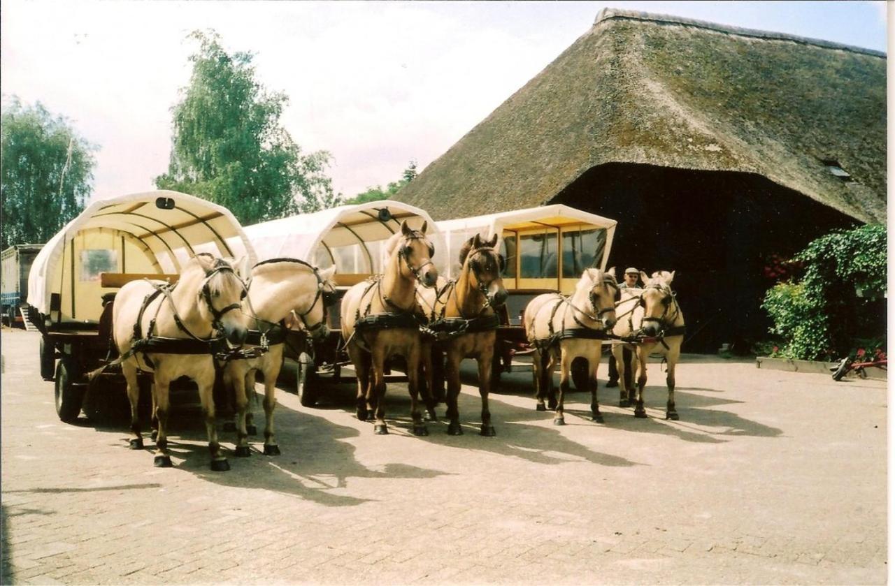 Vakantieverhuur Bienvenue Bojil Экстерьер фото